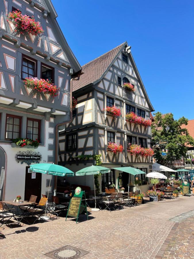 Gaestehaus Klingler Besigheim Eksteriør billede